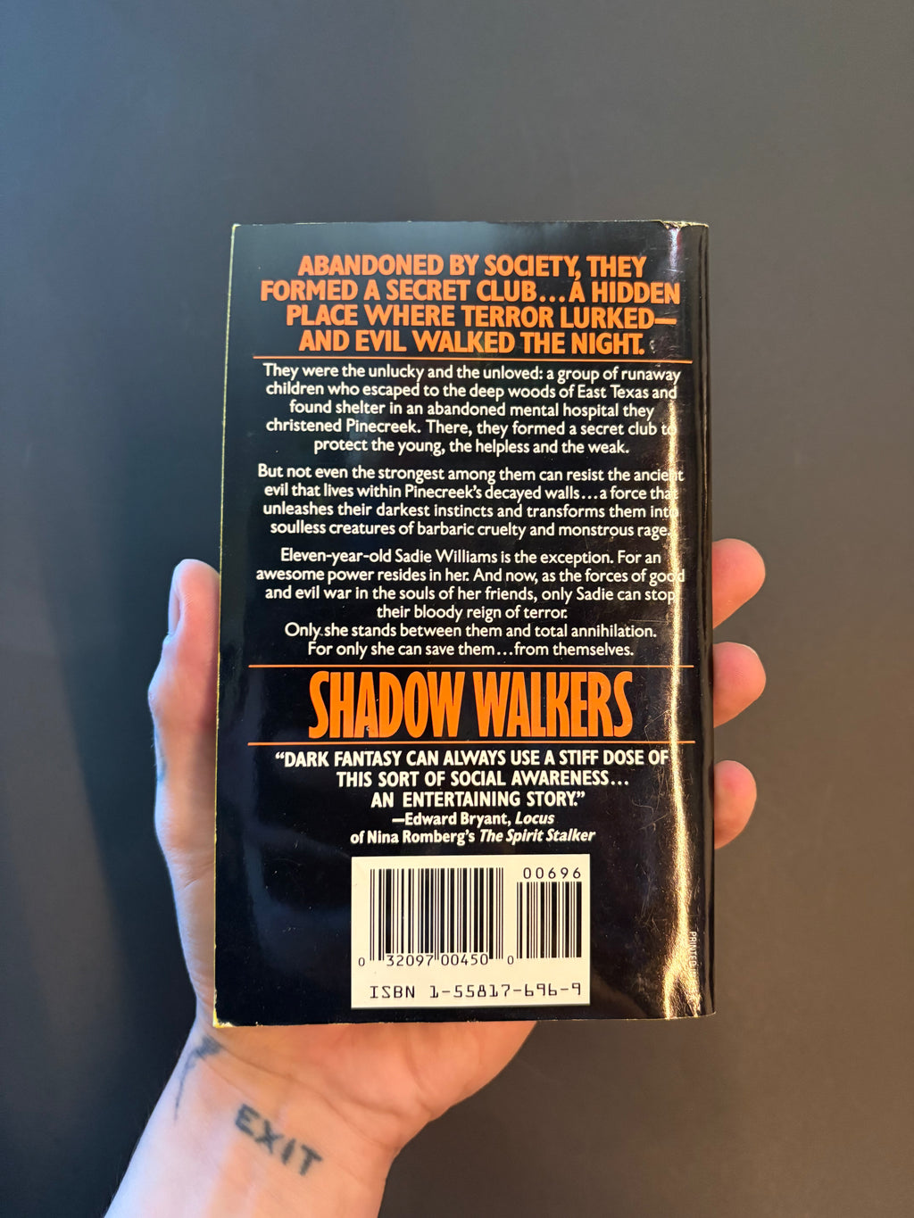 Shadow Walkers © 1993 by Nina Romberg
