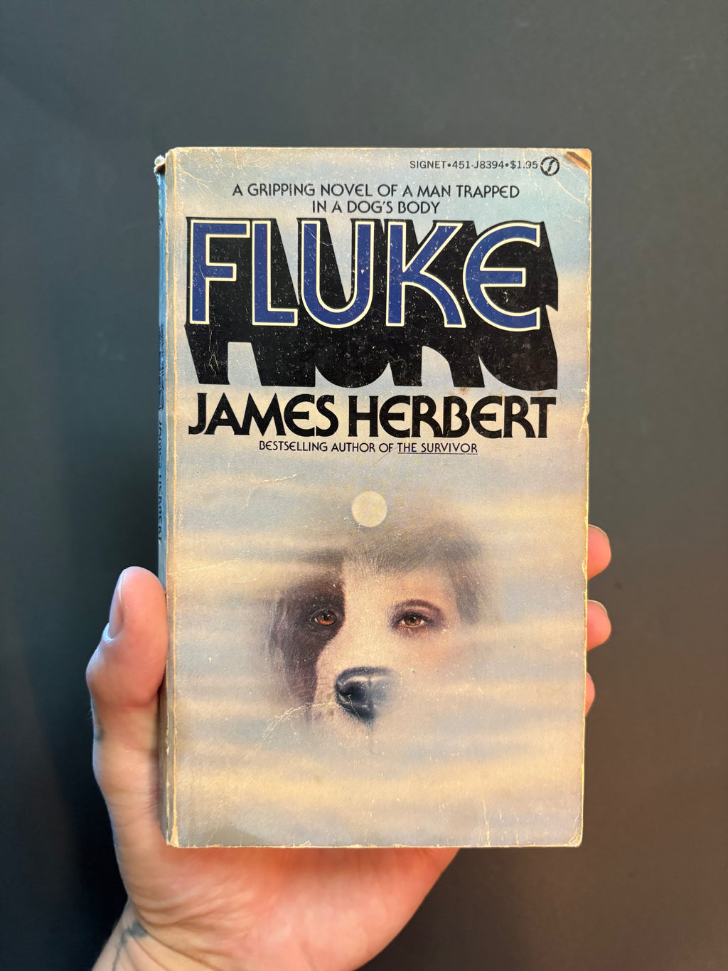 Fluke © 1977 by James Herbert