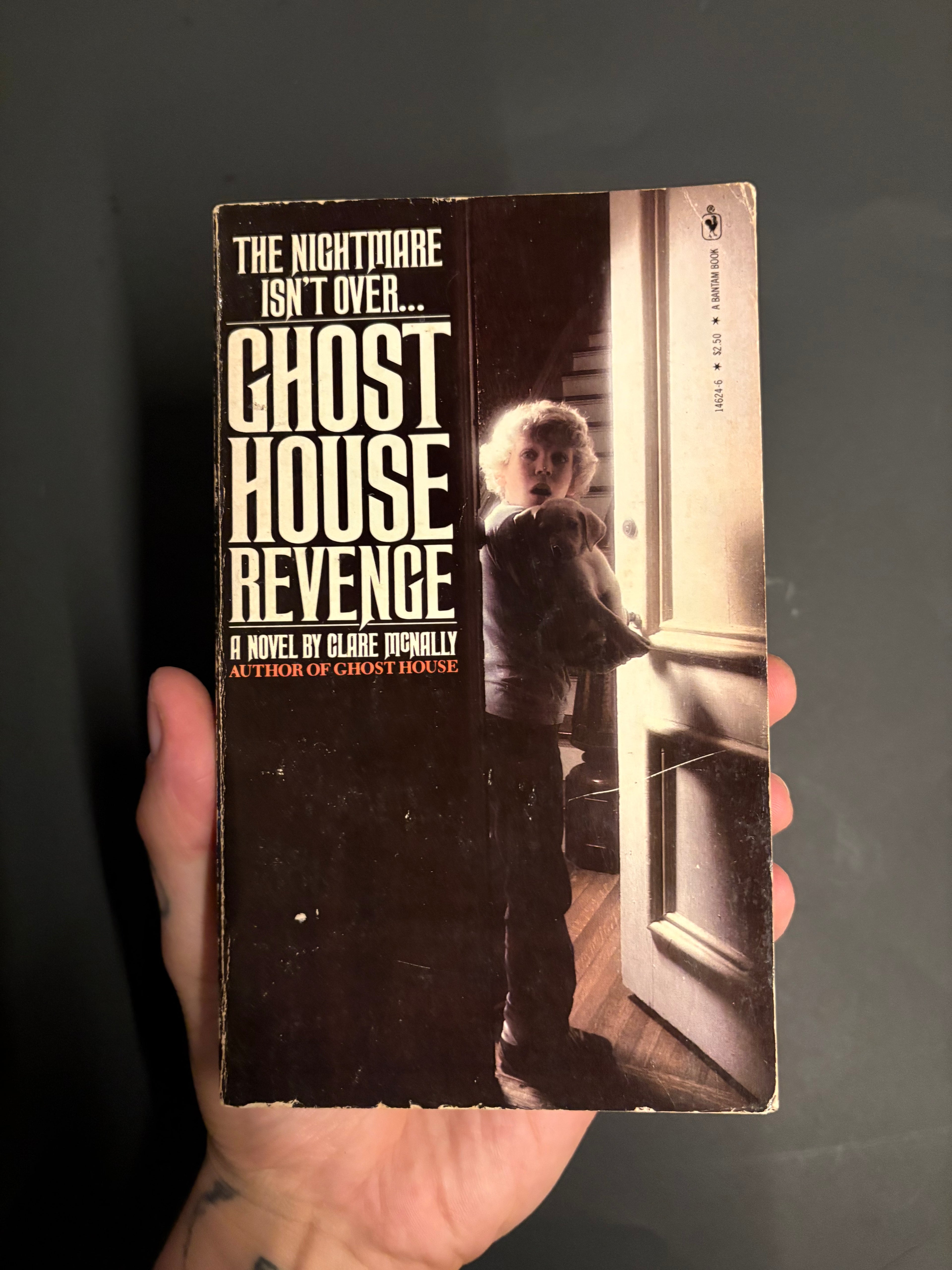 Ghost House Revenge © 1981 by Clare McNally